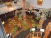dscn1523_small.jpg
