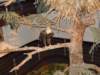dscn1525_small.jpg