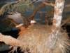 dscn1528_small.jpg