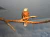 dscn1531_small.jpg