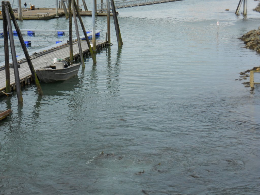 dscn1567.jpg