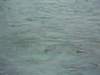 dscn1568_small.jpg