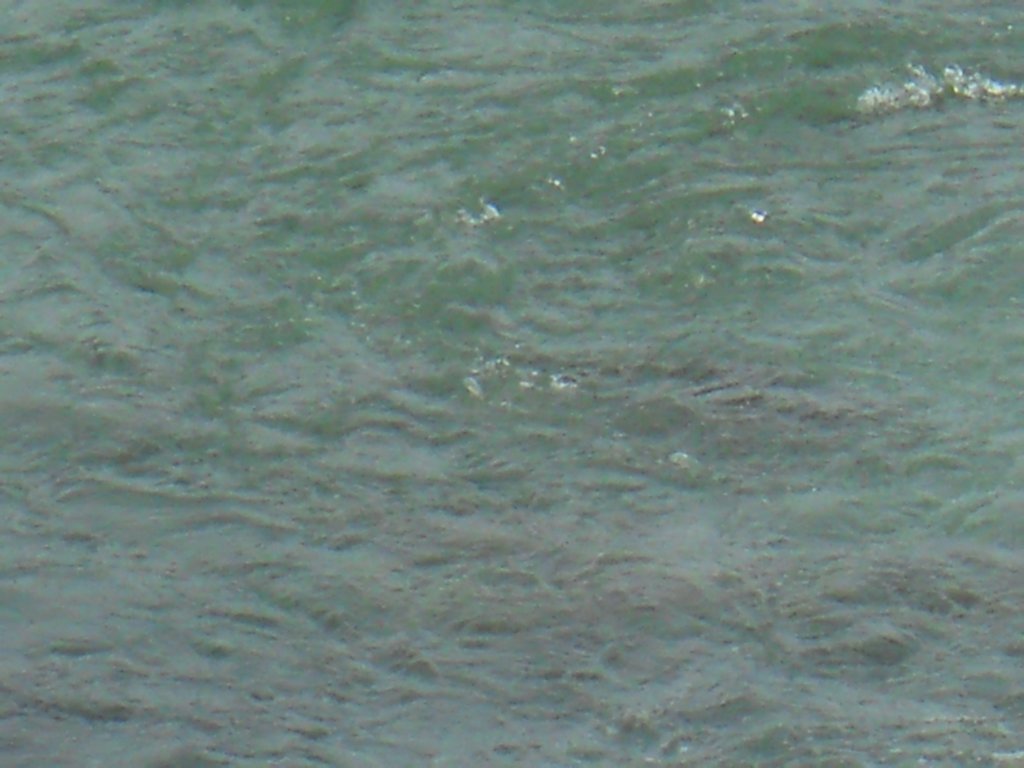 dscn1569.jpg