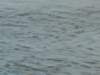 dscn1571_small.jpg