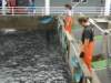 dscn1573_small.jpg