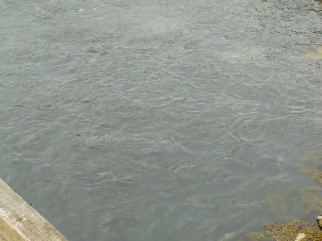 dscn1579.jpg