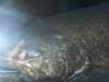 dscn1583_small.jpg