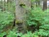 dscn1610_small.jpg