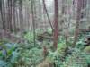 dscn1613_small.jpg