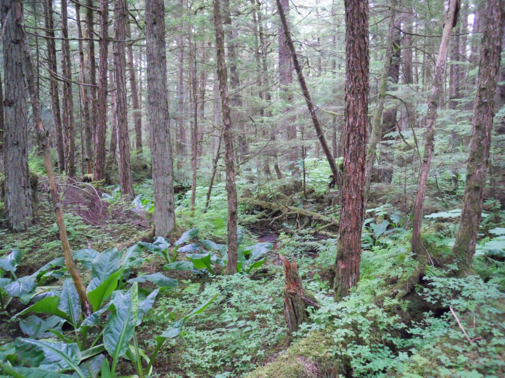 dscn1614.jpg