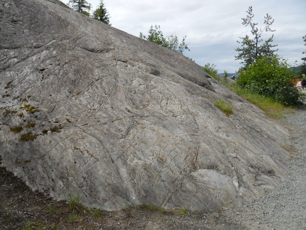 dscn1620.jpg