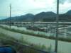 dscn1630_small.jpg