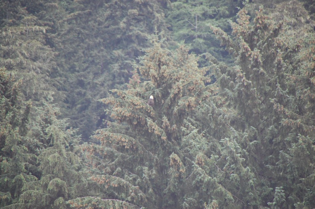 dsc_1609.jpg