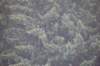 dsc_1610_small.jpg