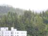 dscn1714_small.jpg