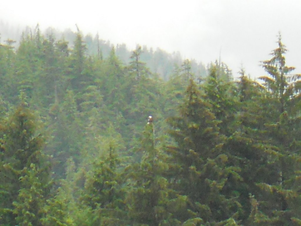 dscn1716.jpg