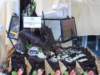 dscn1732_small.jpg