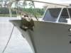 dscn2183_small.jpg