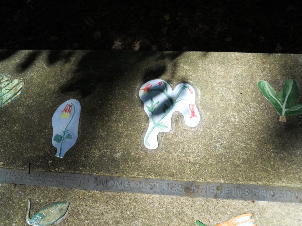 dscn2423.jpg