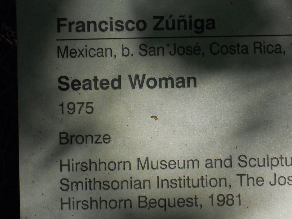 dscn2446.jpg