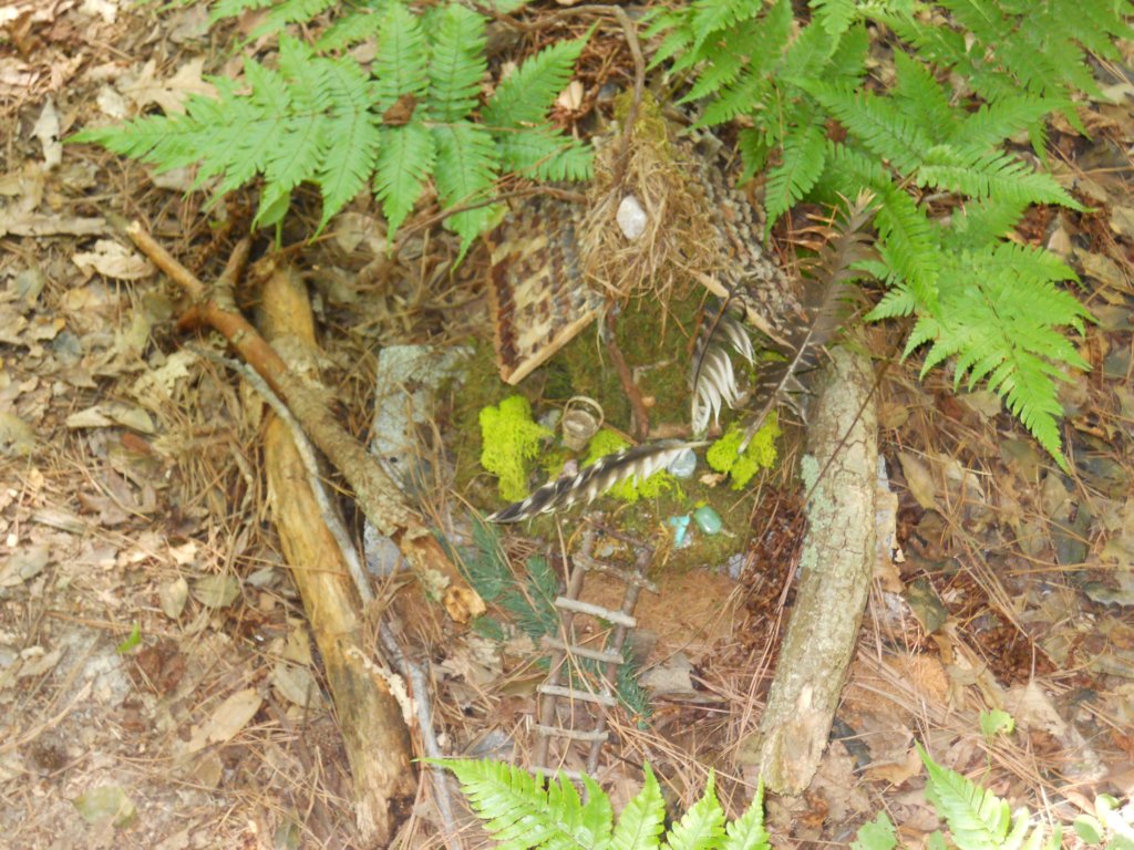 dscn2452.jpg