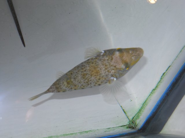 dscn2602.jpg