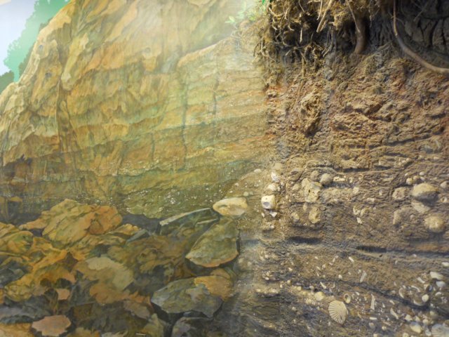 dscn2608.jpg