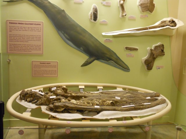 dscn2615.jpg