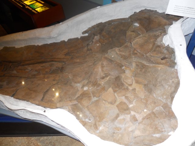 dscn2625.jpg