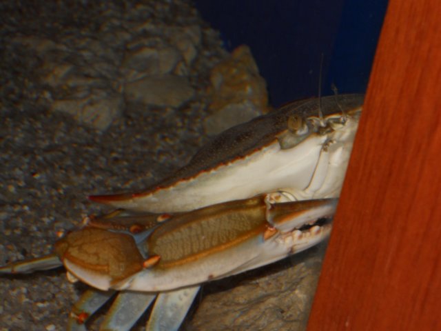 dscn2630.jpg