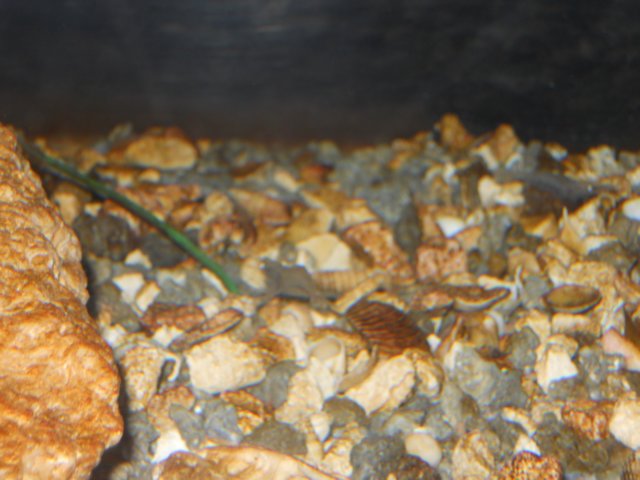 dscn2635.jpg