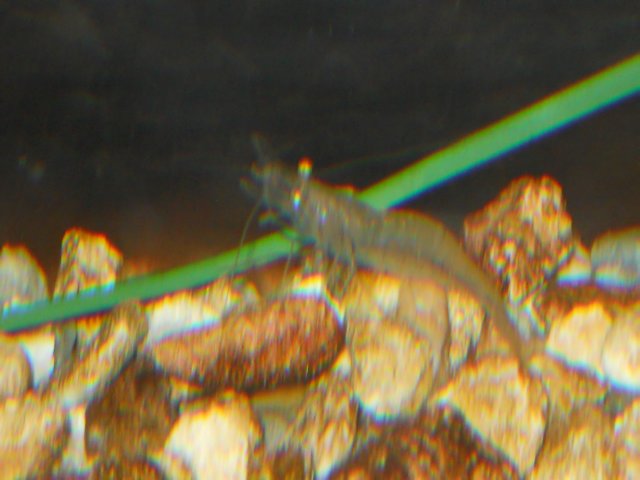 dscn2636.jpg