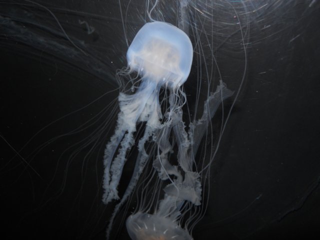 dscn2641.jpg