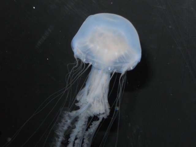 dscn2644.jpg