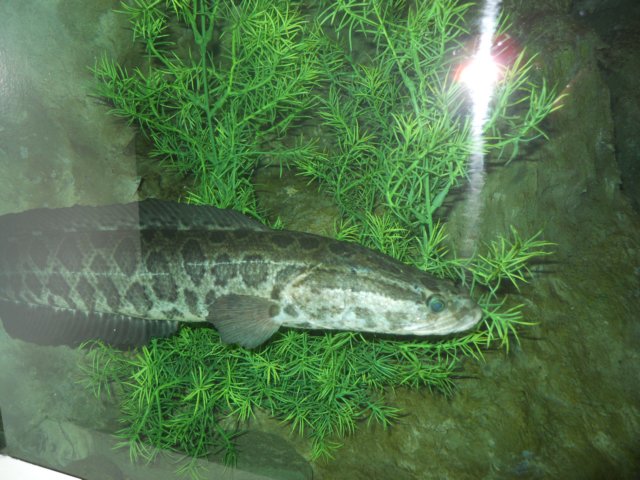 dscn2648.jpg