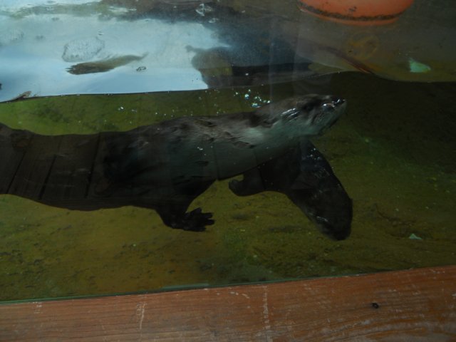 dscn2652.jpg