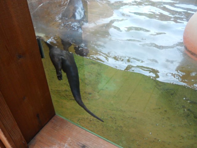 dscn2653.jpg