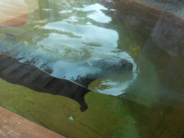 dscn2655.jpg