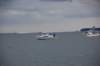 dsc_0216_small.jpg
