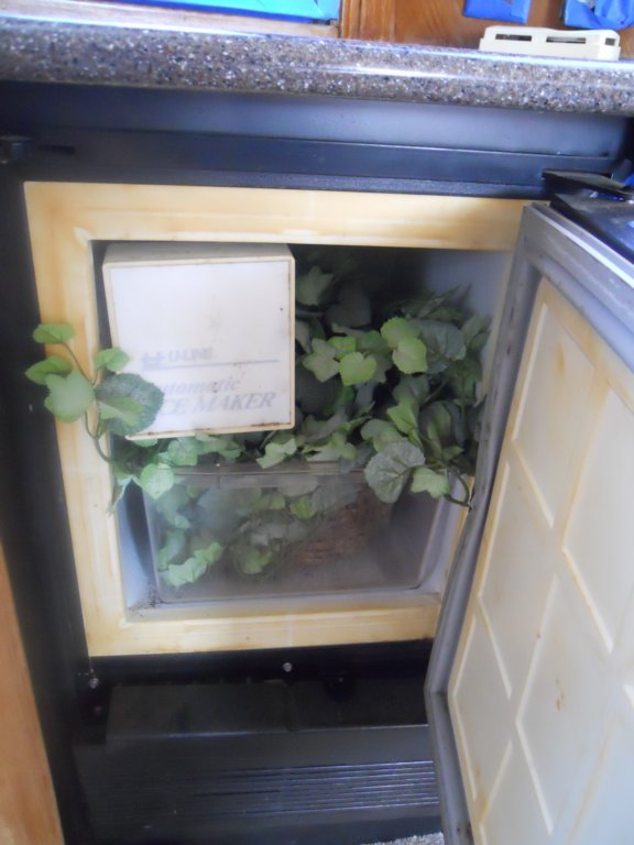 dscn3125.jpg