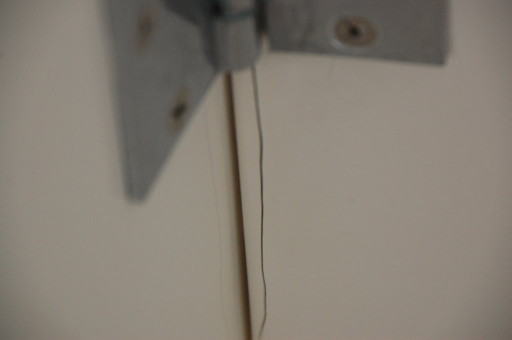 dsc_0226.jpg