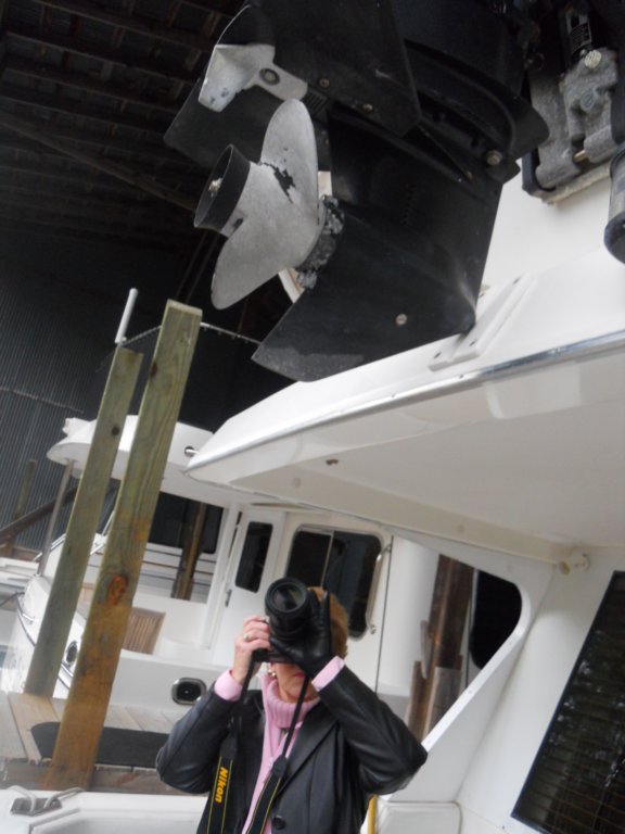 dscn3540.jpg