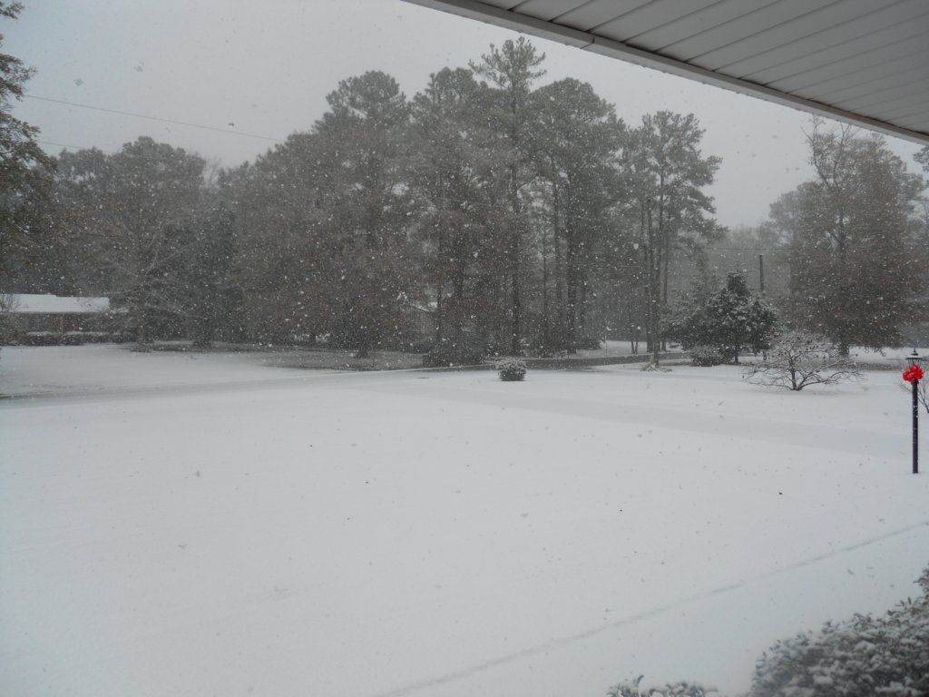 dscn3569.jpg