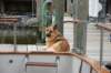 dsc_0292_small.jpg