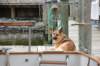 dsc_0293_small.jpg