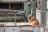 dsc_0295_small.jpg