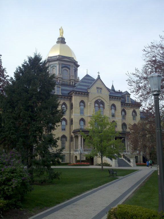 _175116_880.jpg