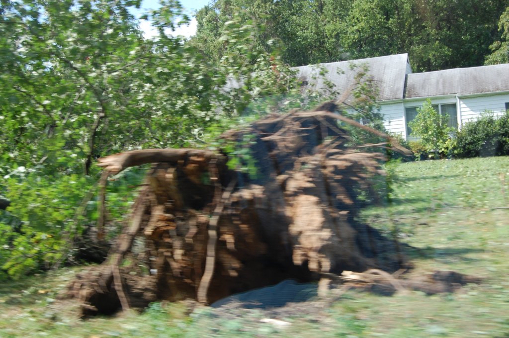 dsc_0895.jpg