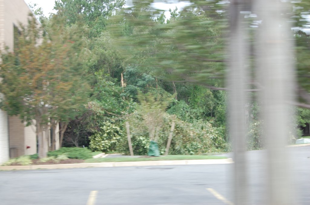 dsc_0928.jpg