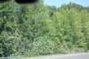 dsc_0951_small.jpg